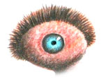 symbol2