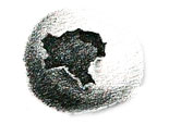 symbol2