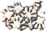 symbol2